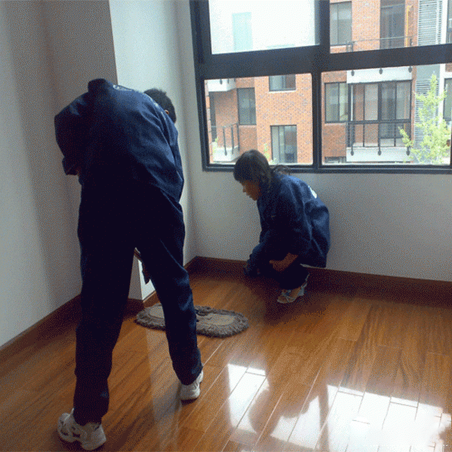 地闆保潔 地闆保潔